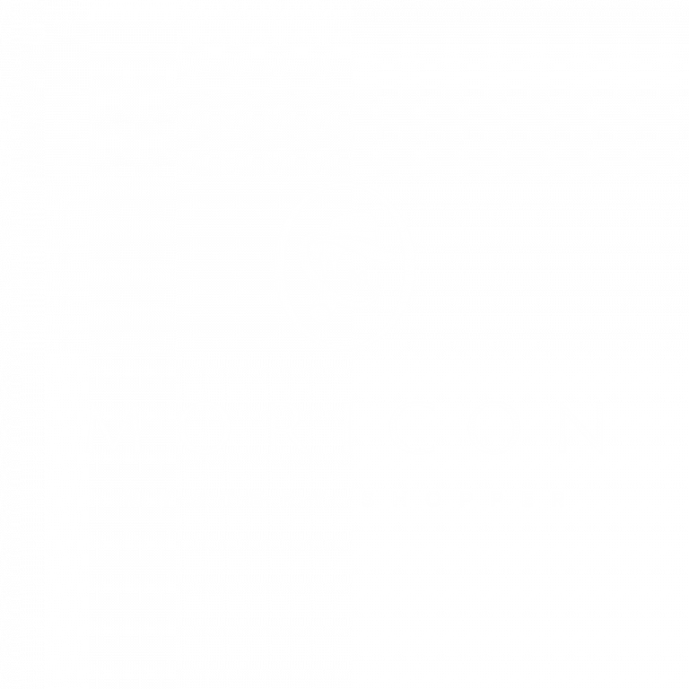 Moricon Mystery Shopping Logo